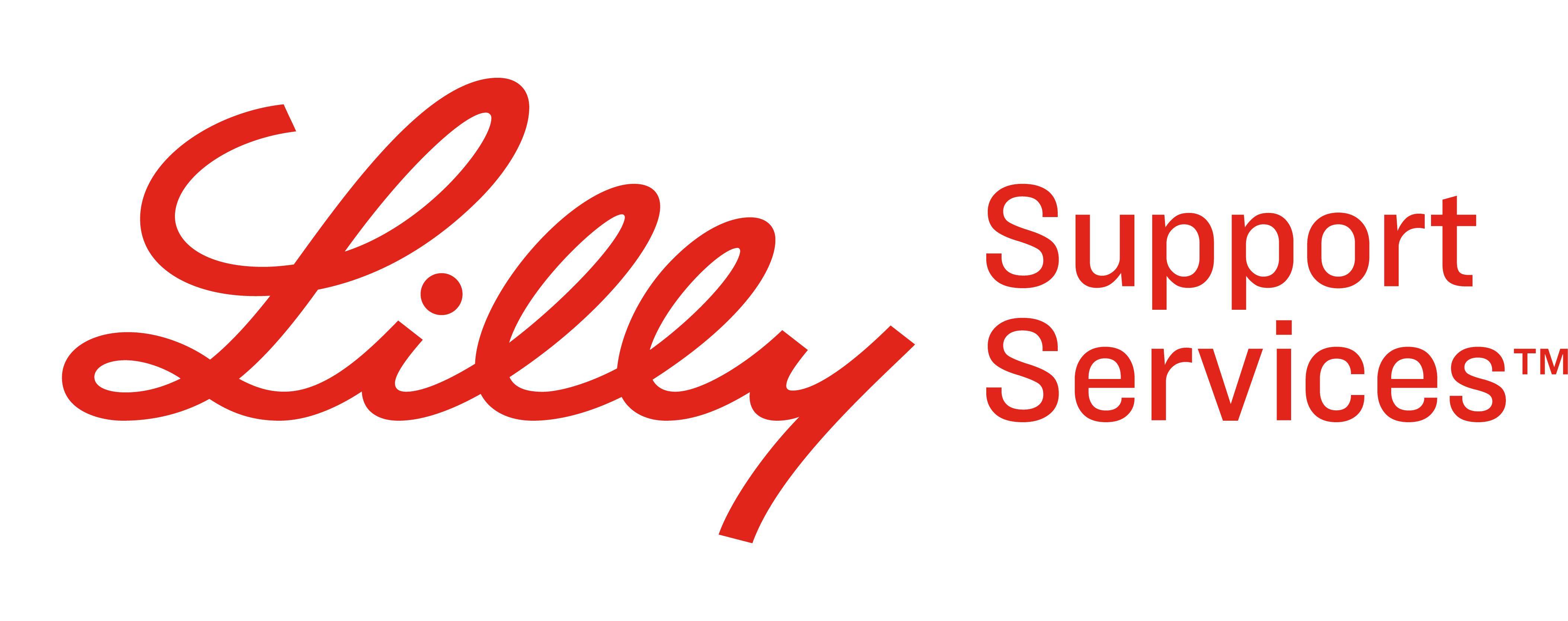 Lilly Support Services logo